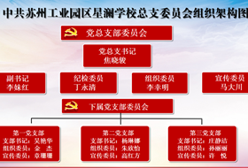 中共苏州工业园区星澜学校总支委员会组织架构图