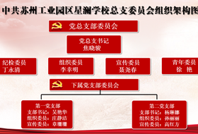 中共苏州工业园区星澜学校总支委员会组织架构图