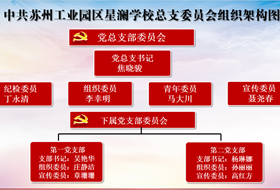 中共苏州工业园区星澜学校总支委员会组织架构图