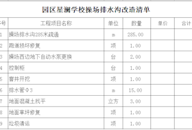 星澜学校排水沟改造招标文件(1)